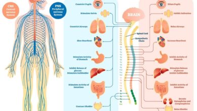 system usability scale